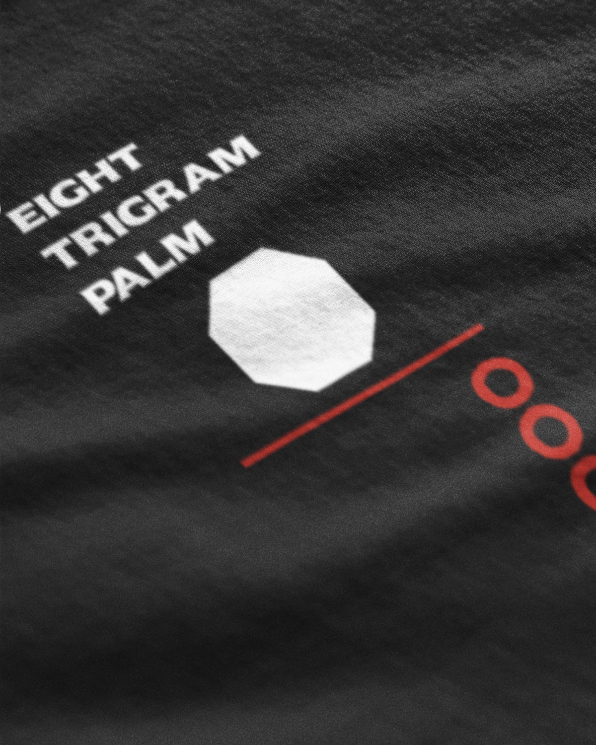 "Ba Gua Zhang" T-shirt