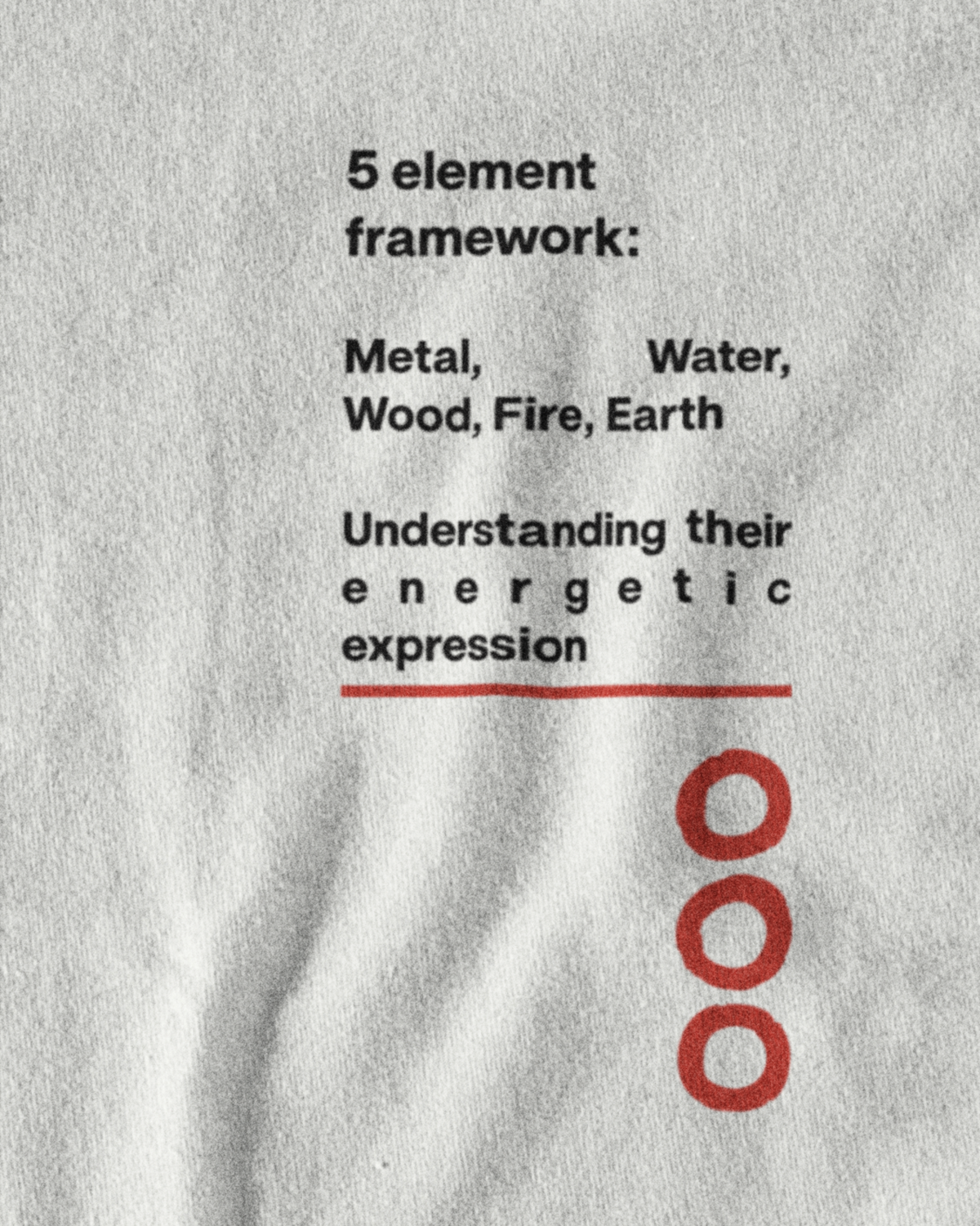 "TCM Goose" 5 elements framework T-shirt