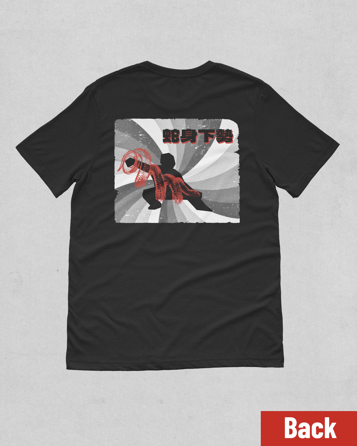 "Snake Creeps Down" Tai Chi T-shirt